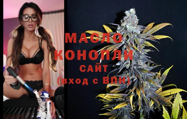индика Абаза