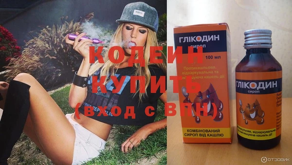 индика Абаза