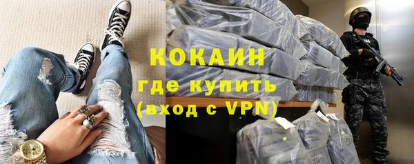 индика Абаза