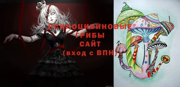 мяу мяу мука Абдулино
