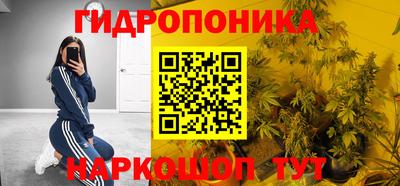 дмт Славгород