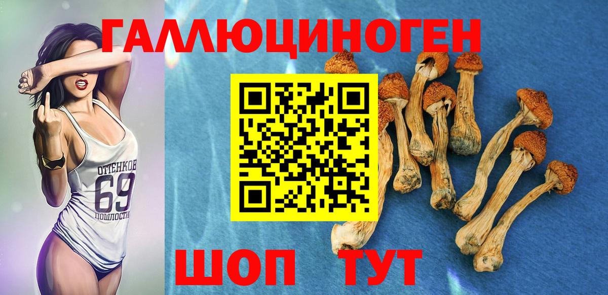 Псилоцибиновые грибы мицелий Стрежевой