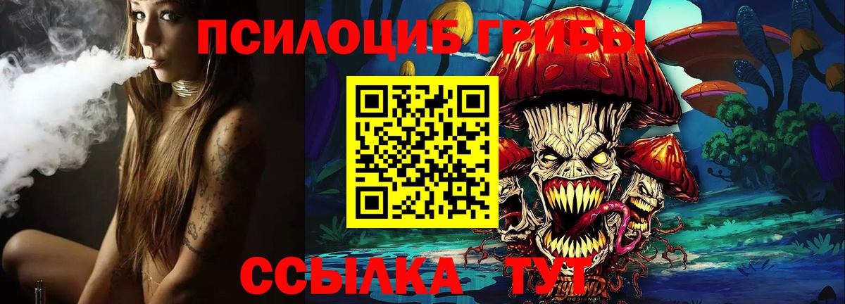 Стрежевой  Галлюциногенные грибы MAGIC MUSHROOMS  Вход с VPN 